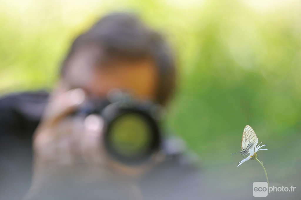 Stage photo nature macro Alsace